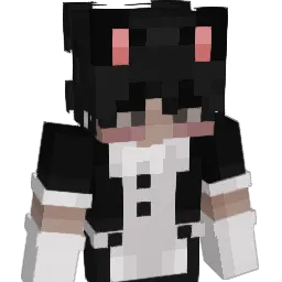 IDontKnowAName_ Minecraft avatar bust