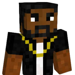 IDraqonI Minecraft avatar bust