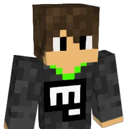 IEnderslayer Minecraft avatar bust