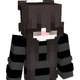 IFAN9001 Minecraft avatar bust