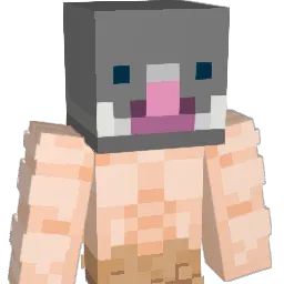 IGGY_KOOPA_JAVA Minecraft avatar bust