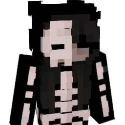 IHydroG0D Minecraft avatar bust