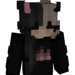 IIBN__