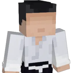 IIIHARTIII Minecraft avatar bust