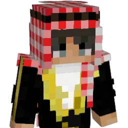 IILIGHT Minecraft avatar bust