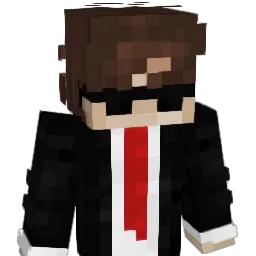IIM7__ Minecraft avatar bust