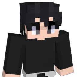 IKUN11777 Minecraft avatar bust