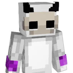 IK_AN_WOO Minecraft avatar bust