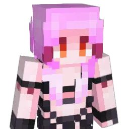 IKun11451 Minecraft avatar bust