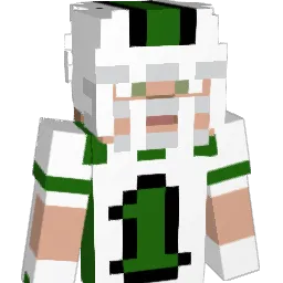 ILoveJoshAllen17 Minecraft avatar bust