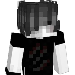 IMGOINBACKTO505 Minecraft avatar bust