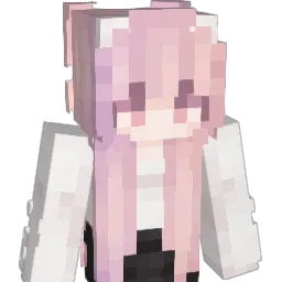 IMODOSALMEJ Minecraft avatar bust
