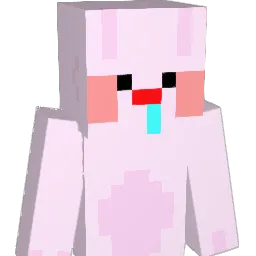 IMSONG Minecraft avatar bust