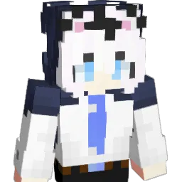 IM_WT Minecraft avatar bust