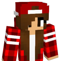 ISilva1005 Minecraft avatar bust