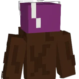 IWantBraxshotz Minecraft avatar bust