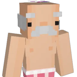 IXNoRIX1 Minecraft avatar bust