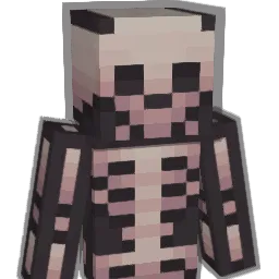 I_Have_A_Dream23 Minecraft avatar bust