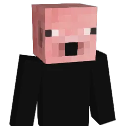 I_N_X_S