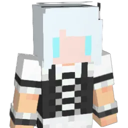 I_O_A Minecraft avatar bust
