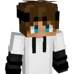IamAidxn Minecraft avatar bust