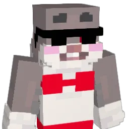 IamaDumbDumbs Minecraft avatar bust