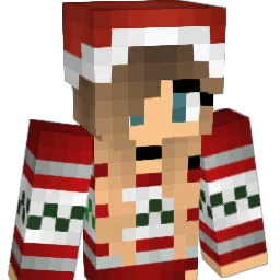 Ianadamson0115 Minecraft avatar bust