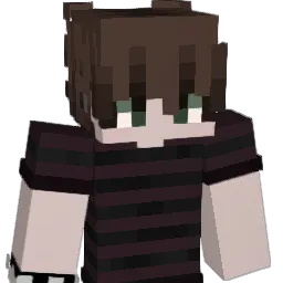 Iasj Minecraft avatar bust