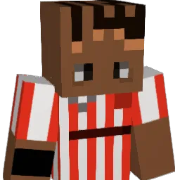 Ibaivio Minecraft avatar bust