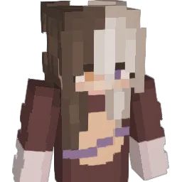 IbimsaHas's Minecraft skin