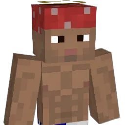 Ibraaa147 Minecraft avatar bust