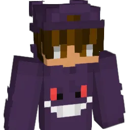 Ibraheem_999 Minecraft avatar bust