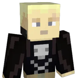 IceSword2 Minecraft avatar bust