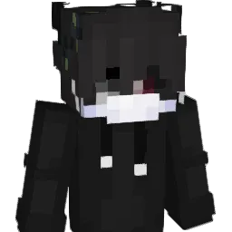 IchhassemeinWlan Minecraft avatar bust
