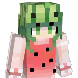 IdibI Minecraft avatar bust