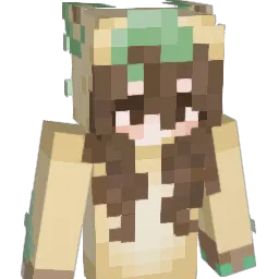 Minecraft-Skin von Idrysa
