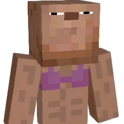 IfUSeekFinn Minecraft avatar bust