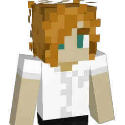 Iggggl93 Minecraft avatar bust