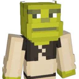 IgnuX_ Minecraft avatar bust