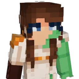 Iida_vaan