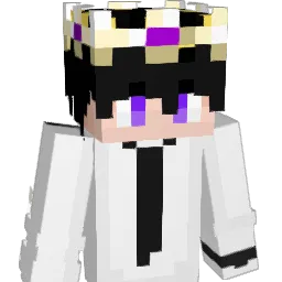 Illasshadow Minecraft avatar bust