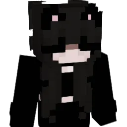 Illusion404 Minecraft avatar bust