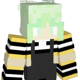 IloeVeri Minecraft avatar bust