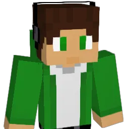 Ilushkins_s Minecraft avatar bust