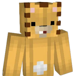 Im3Fiches