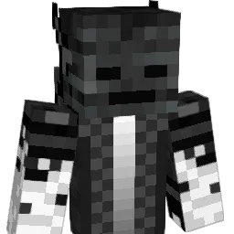 ImAWither Minecraft avatar bust