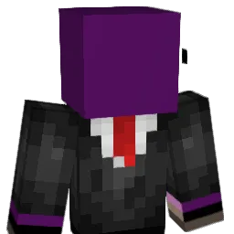 ImJdwb Minecraft avatar bust