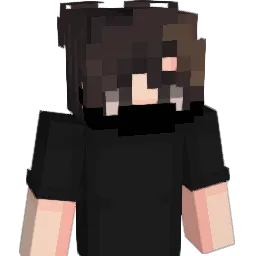 ImL30N Minecraft avatar bust