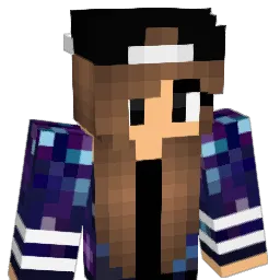 ImNotAri's Minecraft skin