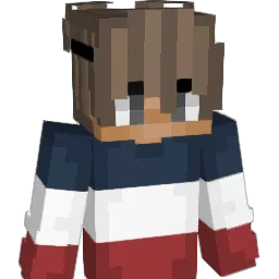 ImRae Minecraft avatar bust